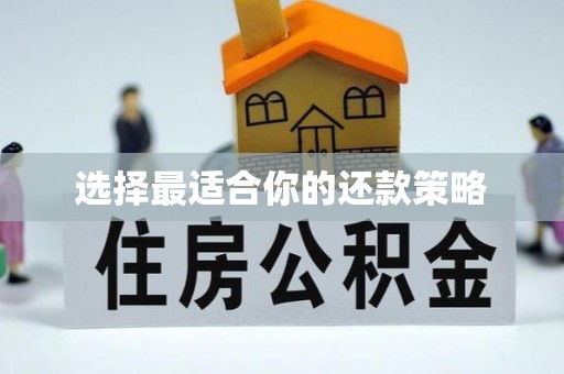 克什克腾旗选择最适合你的还款策略
